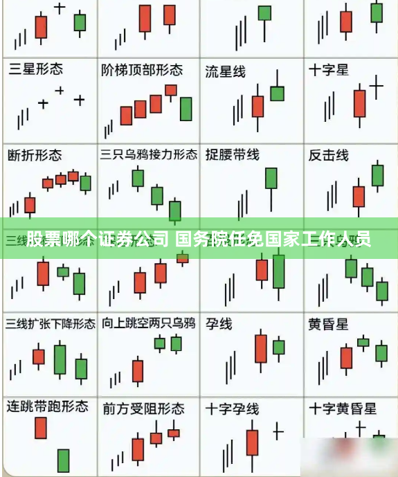 股票哪个证券公司 国务院任免国家工作人员