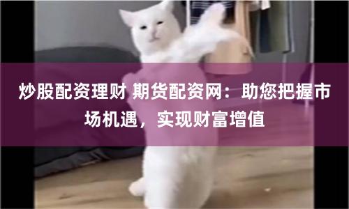 炒股配资理财 期货配资网：助您把握市场机遇，实现财富增值