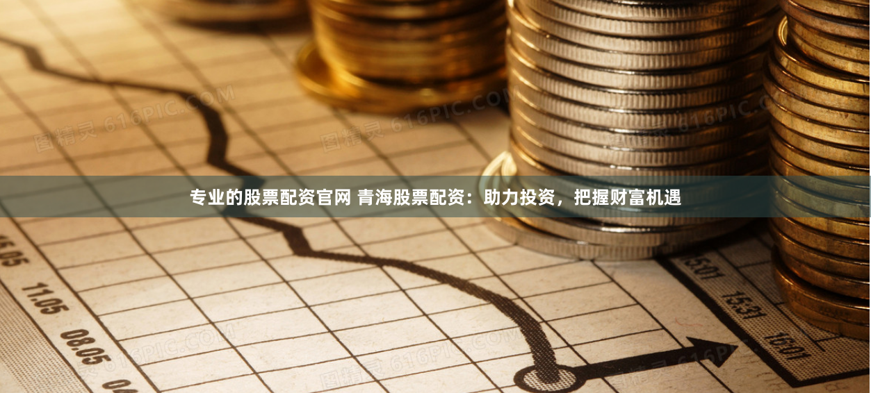 专业的股票配资官网 青海股票配资：助力投资，把握财富机遇