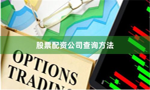 股票配资公司查询方法