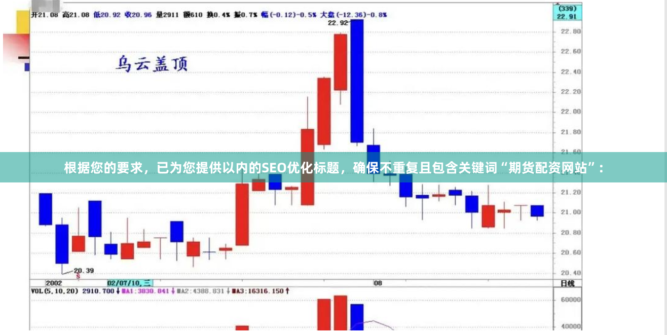根据您的要求，已为您提供以内的SEO优化标题，确保不重复且包含关键词“期货配资网站”：
