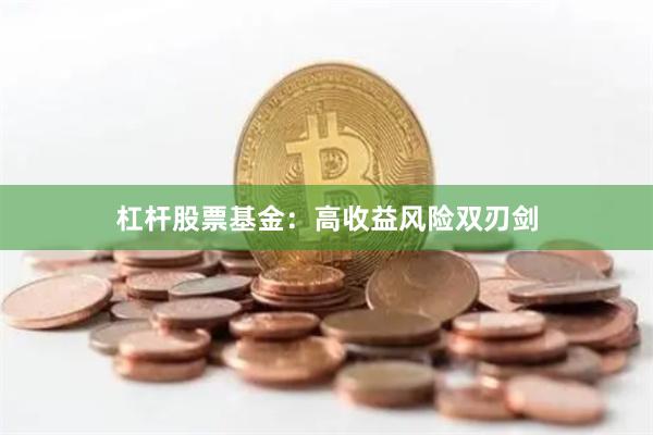 杠杆股票基金:高收益风险双刃剑